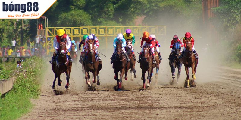 Đánh giá huấn luyện viên