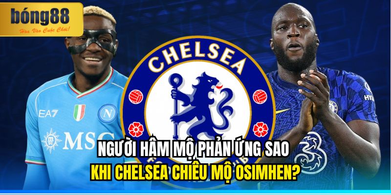Người Hâm Mộ Phản Ứng Sao Khi Chelsea Chiêu Mộ Osimhen?
