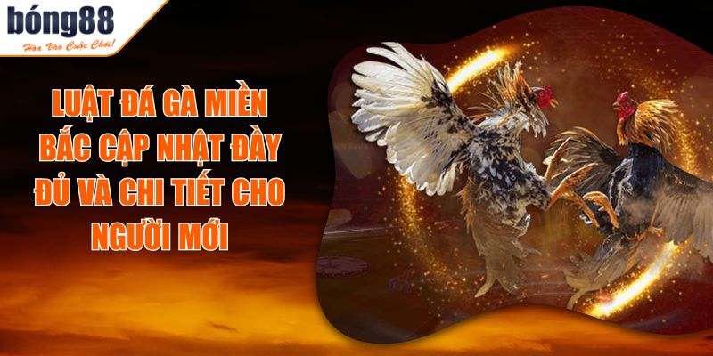 Luật Đá Gà Miền Bắc Cập Nhật Đầy Đủ Và Chi Tiết Cho Người Mới